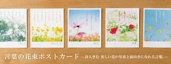 楽天市場 詩人きむ 言葉の花束ポストカード 花は咲く 名言 格言 詩人 言葉 ことば 夢 勇気 元気 卒業 旅立ち 感謝 教員 先生 メッセージ いろはショップオンライン