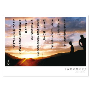 きむ ポストカード 生活雑貨の人気商品 通販 価格比較 価格 Com