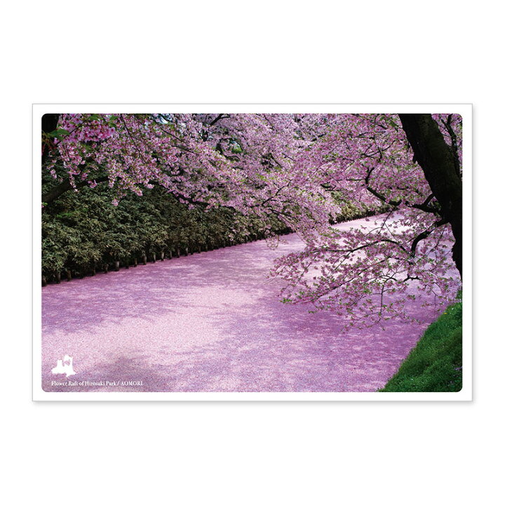 楽天市場 日本の絶景ポストカード 春 弘前公園の花筏 青森 Pas Pol Paspol パスポル グリーティング 桜 メッセージカード Jpc いろはショップオンライン 楽天市場 日本の絶景ポストカード 春 弘前公園の花筏 青森 Pas Pol Paspol パスポル グリーティング 桜 メッセージカード Jpc いろはショップオンライン