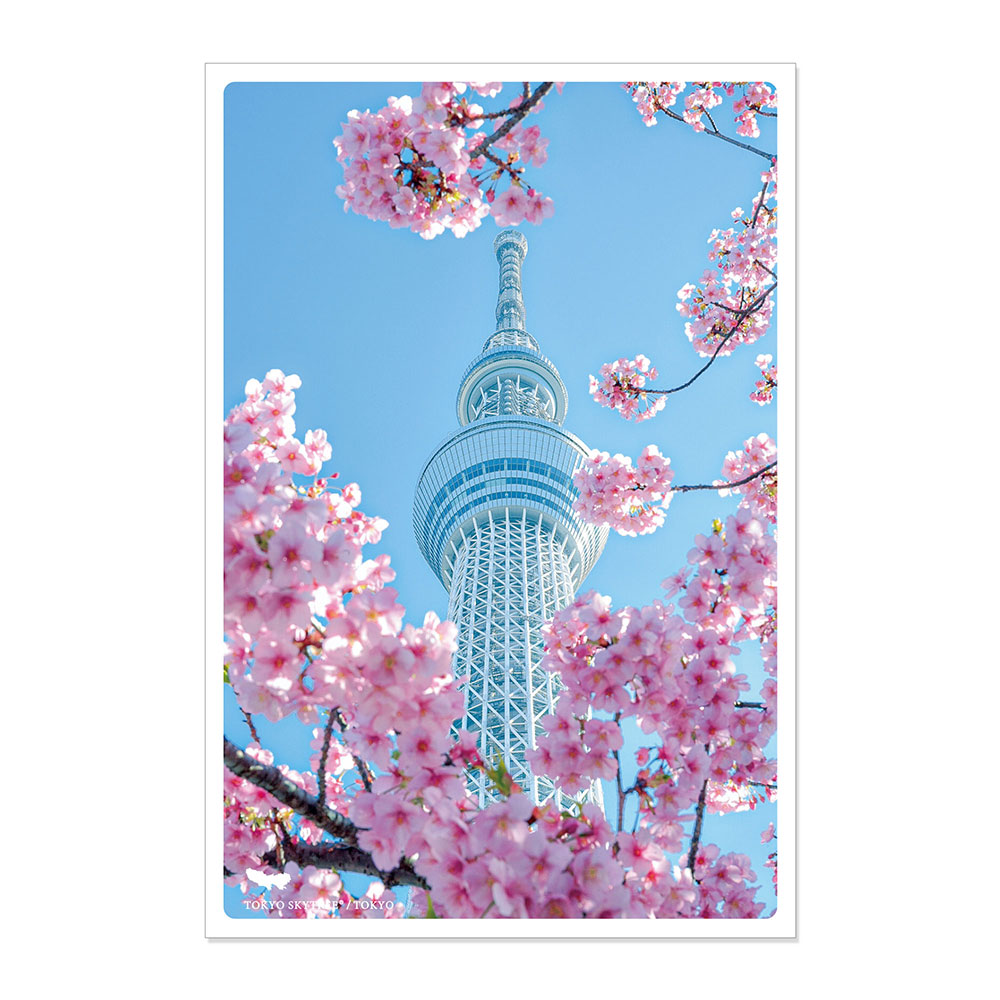 人気満点 日本の絶景ポストカード 〜春〜 東京スカイツリー 東京