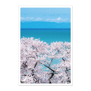 ���{�̐�i�|�X�g�J�[�h �`�t�` ���n��/�V�� �p�X�|�� �� ���s �n�K�L �i�F �� JPC-93