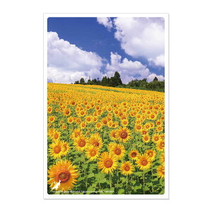 ���{�̐�i�|�X�g�J�[�h �`�ā` �R�{�R���� ��R�|�P�b�g�p�[�N/�V�� pas-pol �p�X�|�� zekkei_202204 �� ���s �n�K�L �i�F JPC-101