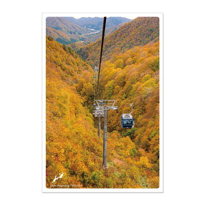 ���{�̐�i�|�X�g�J�[�h �`�H�` �c��h���S���h��/�V�� pas-pol �p�X�|�� zekkei_202208 �� ���s �n�K�L �i�F JPC-104