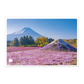 日本の絶景ポストカード ～春～ 富士芝桜まつり/山梨 pas-pol パスポル zekkei_202212 nippon_zekkei paspol_postcard 旅 旅行 ハガキ 景色 JPC-115