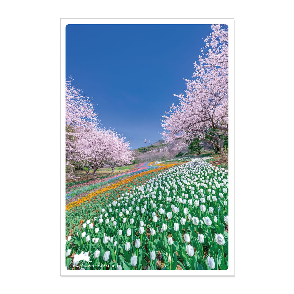 PAS-POL 世界遺産アートポストカード 富士山 日本 世界遺産を絵にしながら旅するアーティストのポストカード (tpca-16) 通販 
