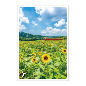 y10/15RJ[hP10{z{̐i|XgJ[h `ā` ΐ_̂Ђ܂蔨/t pas-pol pX| zekkei_202304 nippon_zekkei paspol_postcard  s nKL iF JPC-121