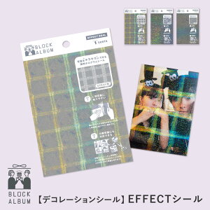 BLOCK ALBUM EFFECTV[ GtFNgV[ fR[VV[ gJfR dP[XfR ubNAop zO  ȒP  ގ ޏ a LO v[g ghae gha_seal