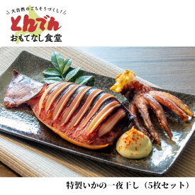 【送料無料】特製いかの一夜干し（5枚入り）