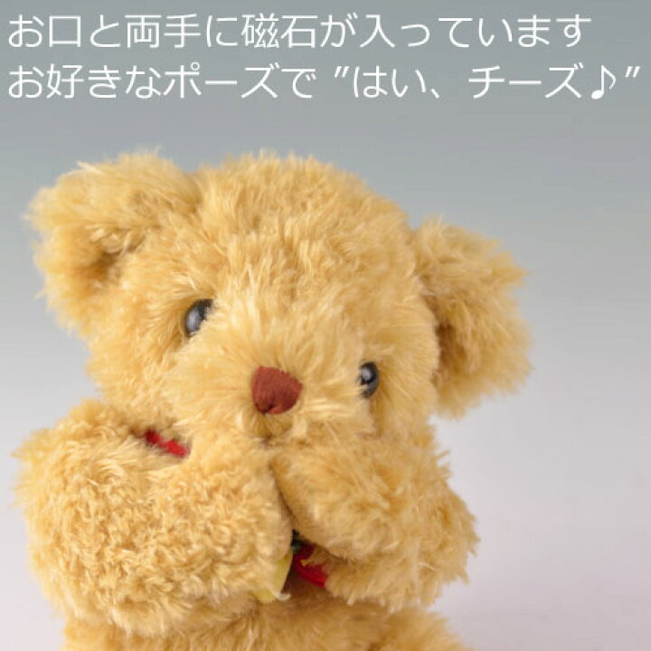 楽天市場】【お買い物マラソン期間限定！ポイント5倍】【ワイルド 
