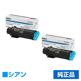 【優良ショップ受賞歴多数】NEC PR-L5800C-13トナーカートリッジ シアン/青2本 純正 PR-L5800C-13、Color MultiWriter 5800C、PR-L5800C 用トナー