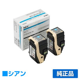 【優良ショップ受賞歴多数】NEC PR-L9110C-13Wトナーカートリッジ シアン/青2本セット 純正 PR-L9110C-13W、Color MultiWriter 9110C、Color MultiWriter 9110C2、PR-L9110C、PR-L9110C2 用トナー