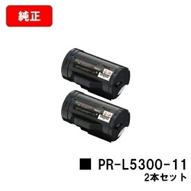 NEC トナーカートリッジ PR-L5300-11お買い得2本セット【純正品】【翌営業日出荷】【送料無料】【MultiWriter 5300】【ポイント10倍】【SALE】