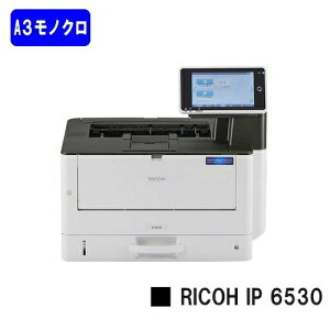 yVizRICOH/R[ lCŐV@IA3mNv^[ RICOH IP 6530(514560)y3`5cƓoׁzyz[J[îߑs