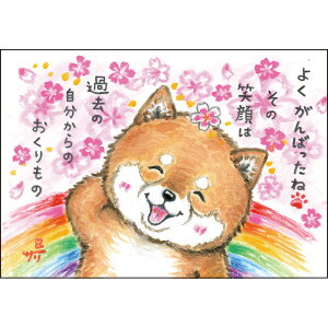 v`Mtg Mtg y N T[ |XgJ[h z J[h 킢 v[g