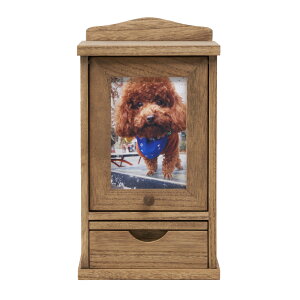 y1ʎ܁P2{5OFF1Nۏ؁[J[ z KIRIGEN  ybgd L@ ybgd  [ ؐ  J ybgA 5  lR  