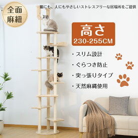 キャットタワー 突っ張り 木製 スリム キャットウォーク 送料無料 大型猫 シニア 省スペース 猫タワー おしゃれ 多頭飼い