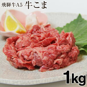 ˋ A5  򕌌Y 1kg 񂹃O 