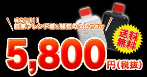 贅沢セット500g(2〜3人前)送料無料自家ブレンド塩タレ付きA5ランク国産黒毛和牛カルビザブトントモサンカクシンシンロース芯特選焼肉セット500g人気おすすめ贅沢豪華プレミアム希少部位BBQ牛肉やきにく豚海