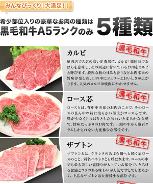 贅沢セット500g(2〜3人前)送料無料自家ブレンド塩タレ付きA5ランク国産黒毛和牛カルビザブトントモサンカクシンシンロース芯特選焼肉セット500g人気おすすめ贅沢豪華プレミアム希少部位BBQ牛肉やきにく豚海