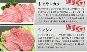 贅沢セット500g(2〜3人前)送料無料自家ブレンド塩タレ付きA5ランク国産黒毛和牛カルビザブトントモサンカクシンシンロース芯特選焼肉セット500g人気おすすめ贅沢豪華プレミアム希少部位BBQ牛肉やきにく豚海