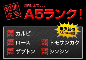贅沢セット500g(2〜3人前)送料無料自家ブレンド塩タレ付きA5ランク国産黒毛和牛カルビザブトントモサンカクシンシンロース芯特選焼肉セット500g人気おすすめ贅沢豪華プレミアム希少部位BBQ牛肉やきにく豚海