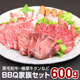 楽天市場 焼肉セットの通販