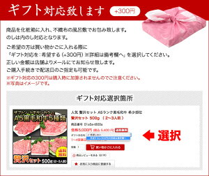 贅沢セット500g(2〜3人前)送料無料自家ブレンド塩タレ付きA5ランク国産黒毛和牛カルビザブトントモサンカクシンシンロース芯特選焼肉セット500g人気おすすめ贅沢豪華プレミアム希少部位BBQ牛肉やきにく豚海