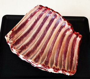 쎭 nAoubNbytEW[V[ȋɏԐgzyⓀz