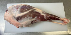 WrG n1{܂邲ƁbᎉEςE쐶100EYEL݂ȂE[XgEēEBBQɁIYWrG^茧YVJy`hz