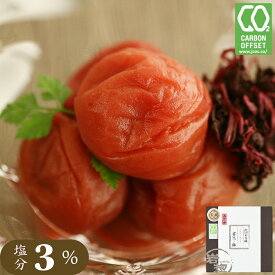 梅干し 塩分3％ しそ 特選 紀州南高梅 藤乃 600g トノハタ公式｜岩惣 梅干 完熟 南高梅 和歌山県 しそ漬 お取り寄せグルメ 手土産 おすすめ 減塩 健康 人気 高級 プチ贅沢 プレゼント 誕生日 母の日 父の日 敬老の日 お中元 お歳暮 ご飯のお供