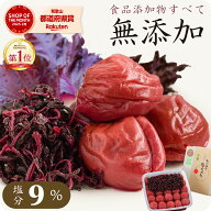 梅干し 無添加 紀州南高梅 特選 なちゅら 塩分9% 600g 【トノハタ公式】 しそ漬け 食品添加物不使用 昔な…