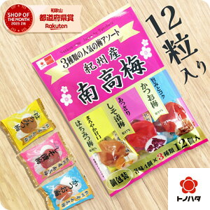 ~  IB썂~ 12 1000~|bL  т̂ ٓ ɂ Y 3 Z Hi  lC ygmn^zb ቖ VR V 썂~ a̎R n 