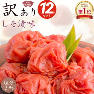 ~  3%  Ђ  Ԃ ~ 󂠂 300g×12(3.6kg)  Zbg Y IBY썂~ gmn^b T ቖ p  VR V  AEgbg Hi ͂