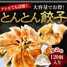 【テレビで紹介】【大容量】とんとん餃子 120個 冷凍 焼くだけ 生餃子 しょうが にら ニンニク にんにくたっぷり 国産豚肉 国産野菜 簡単 焼餃子 水餃子 蒸し餃子 国産 おかず スタミナ餃子 大容量 メガ盛り おつまみ おかず 肉餃子 野菜餃子 にんにくたっぷり
