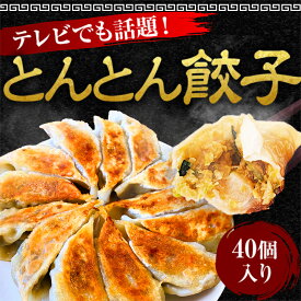 【テレビで紹介】 とんとん餃子 40個 冷凍 焼くだけ 生餃子 しょうが にら ニンニク にんにくたっぷり 国産豚肉 国産野菜 簡単 焼餃子 水餃子 蒸し餃子 国産 おかず スタミナ餃子 大容量 メガ盛り おつまみ おかず 肉餃子 野菜餃子 にんにくたっぷり