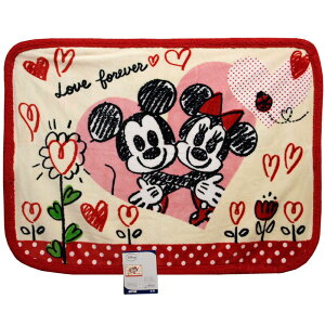 ~bL[~j[E}CNV[vЂ|yut[zifށF|GXe100jiTCYF70cm×100cmj