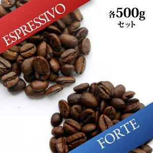 yWebzE2pbN Espressivo/Forte (Ee500gpbN)