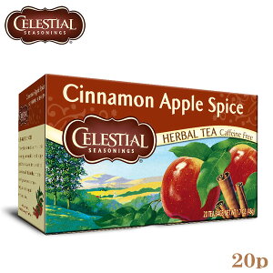 CELESTIAL �Z���b�V���� �V�i�����A�b�v���X�p�C�X 20TB