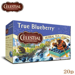 CELESTIAL �Z���b�V���� �g�D���[ �u���[�x���[ 20TB