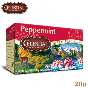 �ܖ�����2026/05/22 CELESTIAL �Z���b�V���� �y�p�[�~���g �n�[�u�e�B�[ 20TB