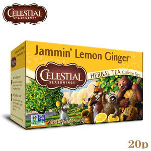 CELESTIAL �Z���b�V���� �W���~���������W���W���[ 20TB