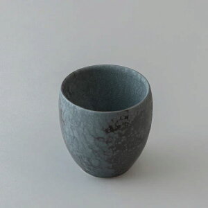 39Arita サンキューアリタ 有田焼ダブルウォールカップ 220ml 黒天目 (黒)