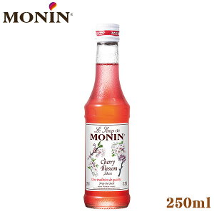 MONIN i  Vbv 250ml