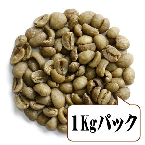 yz i JtFCXR[q[ o_R (1kgpbN)