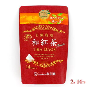 ���@���{�� �L�@�͔|�a�g�� 2gx14TB ���������Y �e�B�[�o�b�O