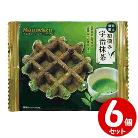 【期間限定】 マネケン 初摘み宇治抹茶ワッフル 6個セット