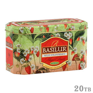 �o�V���[�e�B�[ �ʓ���g�� ���C���h�X�g���x���[ 20TB�� 70943