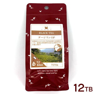 AWFeB[obO _[W OP 12TB OpeB[obO g Ch