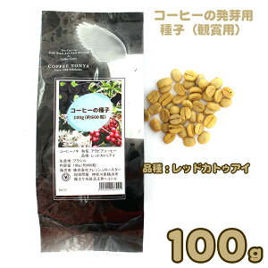 uWY R[q[̔pq Ϗܗp 100gi600jiFbhJgDAC