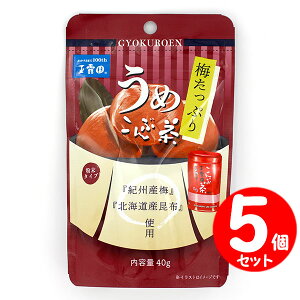 ʘI ~Ղ ߂Ԓ 40g×5Zbg X^hpbN ^Cv